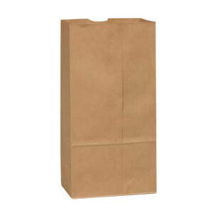 6lb Kraft Paper Bags
