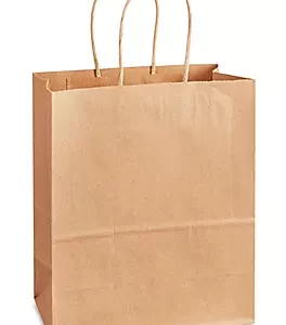 Paper Bag with Twisted Handle 8x5x11" 250 Pcs