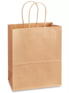 Paper Bag with Twisted Handle 8x5x11″ 250 Pcs