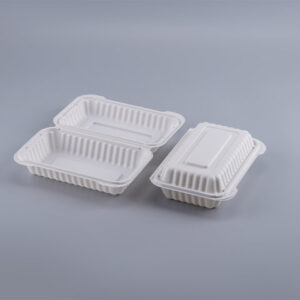 9x6" Plastic Clamshell Container 150 Pcs