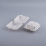 5×5″ Plastic Clamshell Container 250 Pcs