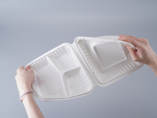 9X9" 3 COMPARTMENT Plastic Clamshell Container 150 Pcs - Image 3