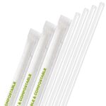 8″ Plastic Compostable Straws Paper Wrapped (Made from Plants)